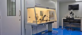 Selective reduction after IVF