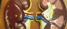 Chronic kidney failure