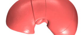 Elevated liver enzymes in children