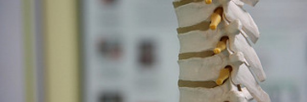 Proper lumbar support can help alleviate lower back problems