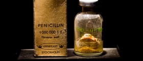 Penicillin allergy symptoms
