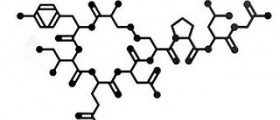 Pitocin and autism