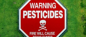The Influence of Pesticides, Solvents and Other Chemicals on Sperm Health