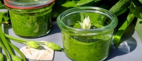 Ear infection home remedy