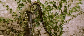 Treatment for Poison Ivy Rash