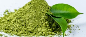 Green tea extract and weight loss