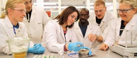 Identify Causes of Male Infertility and Provide Targets for Developing New Contraceptive Agents