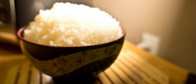 Rice diet program