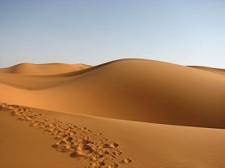 Sand of the sahara - a lasik complication | Eye Disorders and Diseases ...