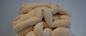 Intestinal bacterial infection