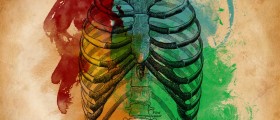 Bruised rib review