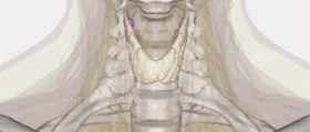 Underactive thyroid symptoms in women