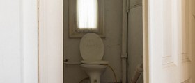 Green bowel movement