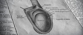 Varicocele Surgery Success Stories