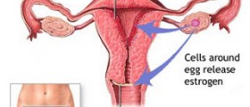 Who can benefit from NovaSure endometrial ablation?