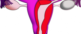 Enlarged uterus symptoms