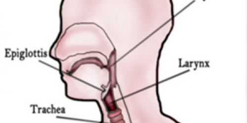 Having Lump In The Throat Sensation