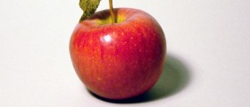 What Are The Best Appetite Suppressants?