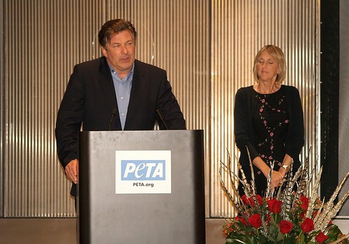 Slideshow picture