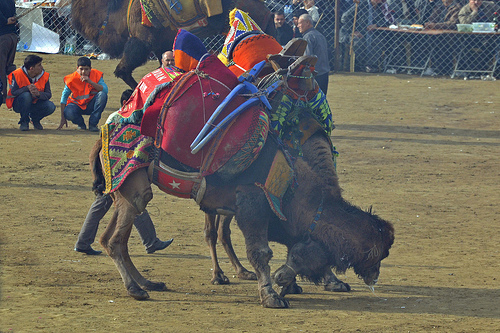 Slideshow picture