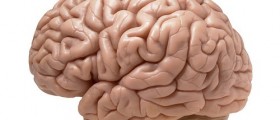 Multiple Sclerosis From A To Z