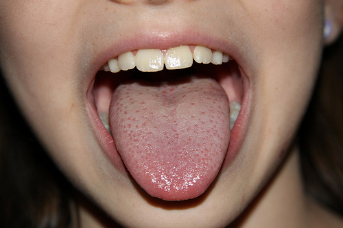 10 Facts About Taste Buds You Didn't Know | Ear, Nose, Throat, and ...