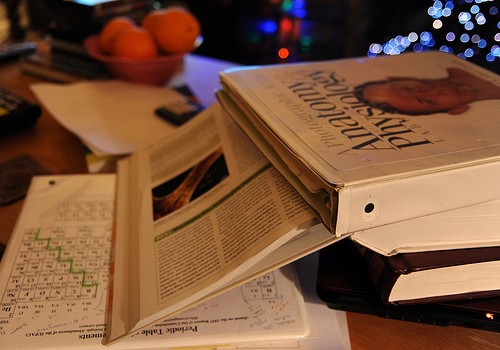 Slideshow picture