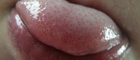 10 Facts About Taste Buds You Didn't Know