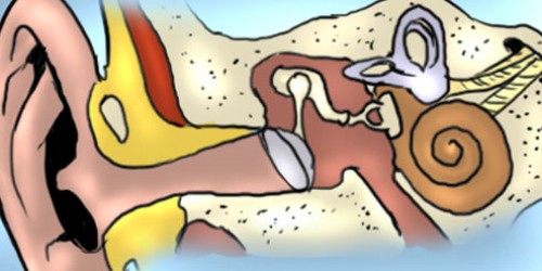 The Sound Of Music: How Do We Perceive Sound?