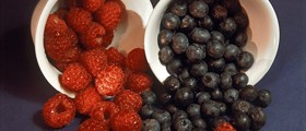 Antioxidants: Not Always What They Are Made Out To Be?