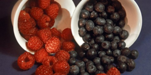Antioxidants: Not Always What They Are Made Out To Be?