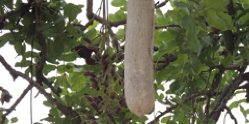 Psoriasis: A Demoralizing Disease That CAN Be Cured