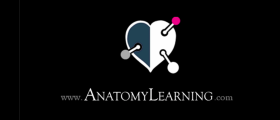 Anatomy Learning 3D Atlas App - A  Medical Application Displaying The Human Anatomy