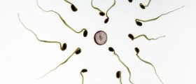 How do you know if you have a low sperm count?