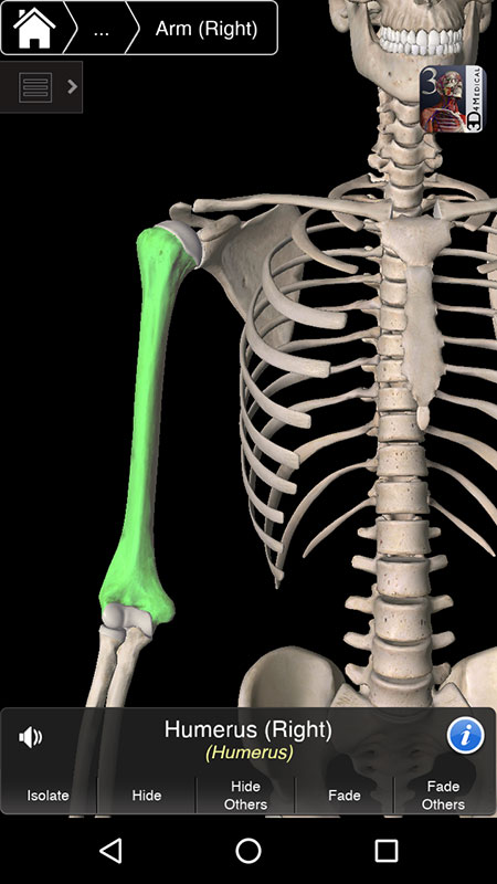 essential anatomy 4 app