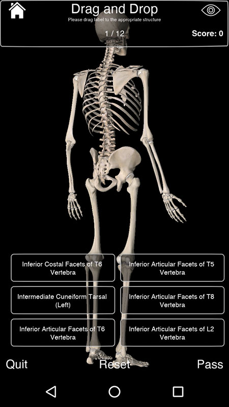 essential anatomy 3d app