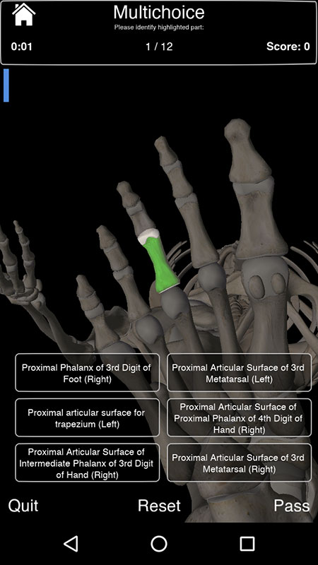 Essential Skeleton App, an interactive 3D anatomy of the human skeletal