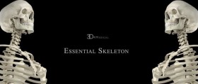 Essential Skeleton App, an interactive 3D anatomy of the human skeletal system