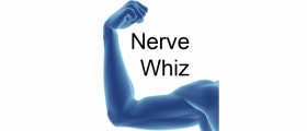 Nerve Whiz App, a tool for learning muscle and sensory innervations and peripheral nerve anatomy