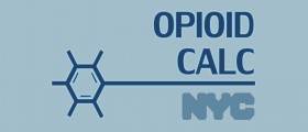 OpioidCalc App, a calculator of the total daily morphine milligram equivalents (MME)