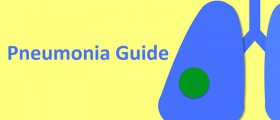 Pneumonia Guide App, a tool to evaluate and treat pneumonia patients at the point of care