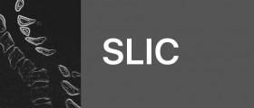 SLIC App, decision support tool for evaluation of cervical spine injuries