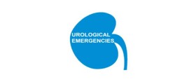 Urological Emergencies App, a simple guide to the management of acute urological emergencies