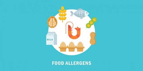 Best Apps for People With Food Intolerance and Allergies