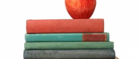 Fruits and Vegetables Are The Secret To Success In School For Kids