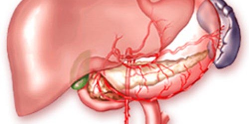 Autoimmune hepatitis: Medical treatment & Alternatives