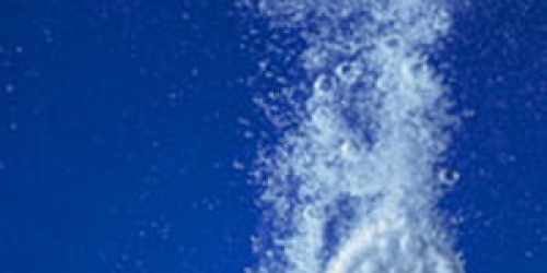 Acid Reflux and Heartburn: How to treat it?