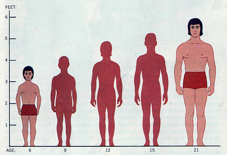 age short height tallness too average human men steadyhealth articles changes