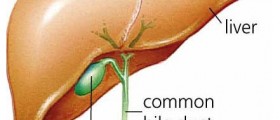 Convalescence and recovery after gallbladder surgery