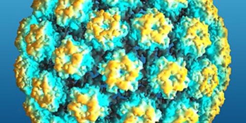 Natural Treatment for HPV and Cervical Dysplasia